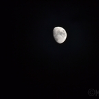 Mond Fotografie am 31.12.2014