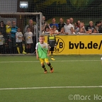 BVB KidsClub-Hallenfußballturnier 2014
