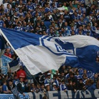 Fans Schalke